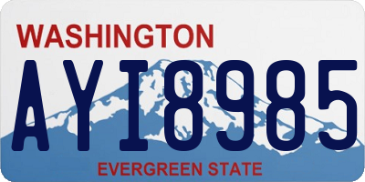 WA license plate AYI8985