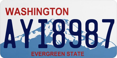 WA license plate AYI8987