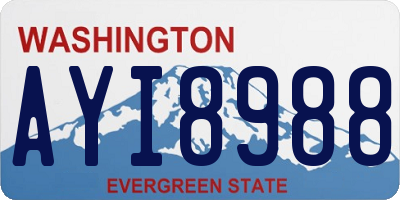 WA license plate AYI8988