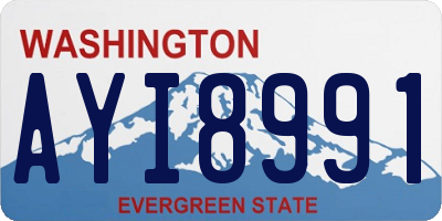 WA license plate AYI8991
