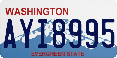 WA license plate AYI8995