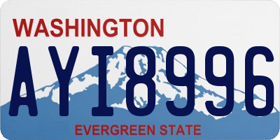 WA license plate AYI8996