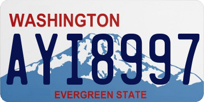 WA license plate AYI8997