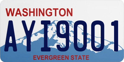 WA license plate AYI9001