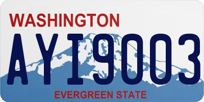 WA license plate AYI9003