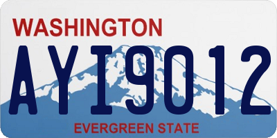 WA license plate AYI9012