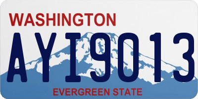 WA license plate AYI9013