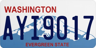WA license plate AYI9017
