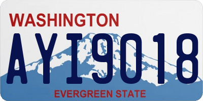 WA license plate AYI9018