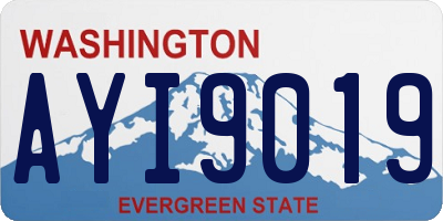 WA license plate AYI9019