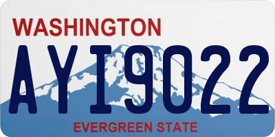 WA license plate AYI9022