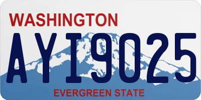 WA license plate AYI9025