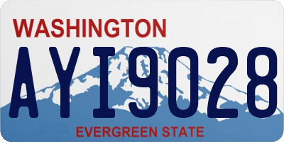 WA license plate AYI9028
