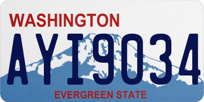 WA license plate AYI9034