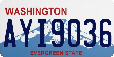 WA license plate AYI9036