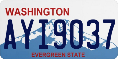 WA license plate AYI9037