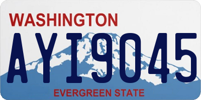 WA license plate AYI9045
