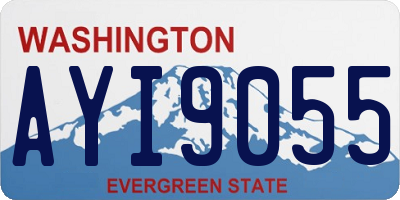 WA license plate AYI9055