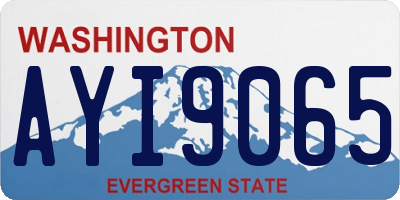 WA license plate AYI9065