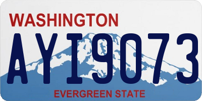 WA license plate AYI9073