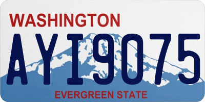 WA license plate AYI9075