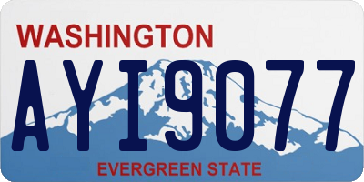 WA license plate AYI9077