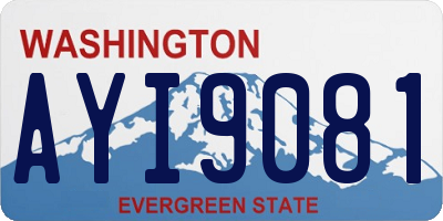 WA license plate AYI9081