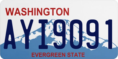 WA license plate AYI9091