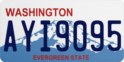WA license plate AYI9095