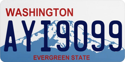WA license plate AYI9099