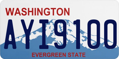 WA license plate AYI9100