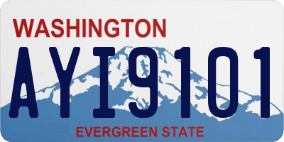 WA license plate AYI9101