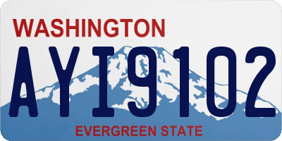 WA license plate AYI9102