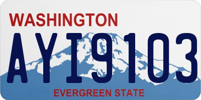 WA license plate AYI9103