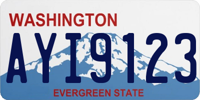 WA license plate AYI9123