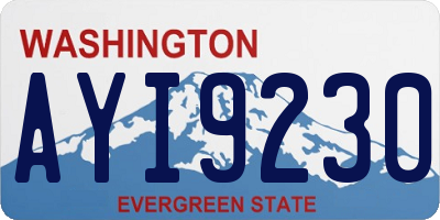 WA license plate AYI9230