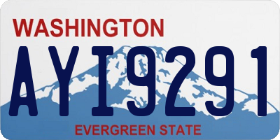 WA license plate AYI9291