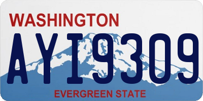 WA license plate AYI9309