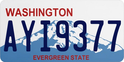WA license plate AYI9377