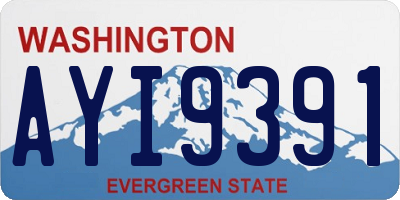 WA license plate AYI9391