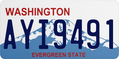 WA license plate AYI9491