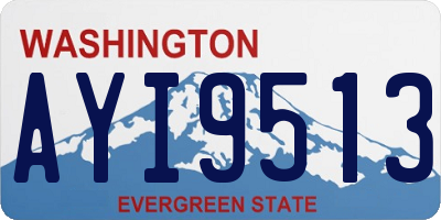 WA license plate AYI9513