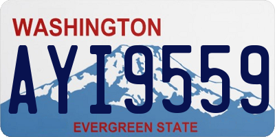 WA license plate AYI9559