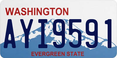 WA license plate AYI9591