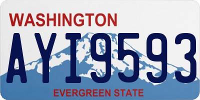 WA license plate AYI9593