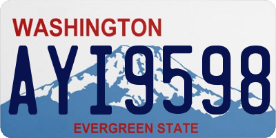 WA license plate AYI9598