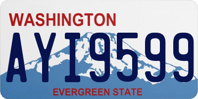 WA license plate AYI9599