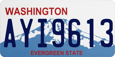 WA license plate AYI9613
