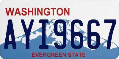 WA license plate AYI9667