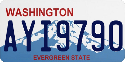 WA license plate AYI9790